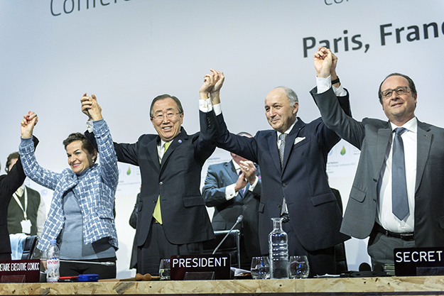 Forests and REDD+ recognized as key components of landmark climate deal agreed in Paris