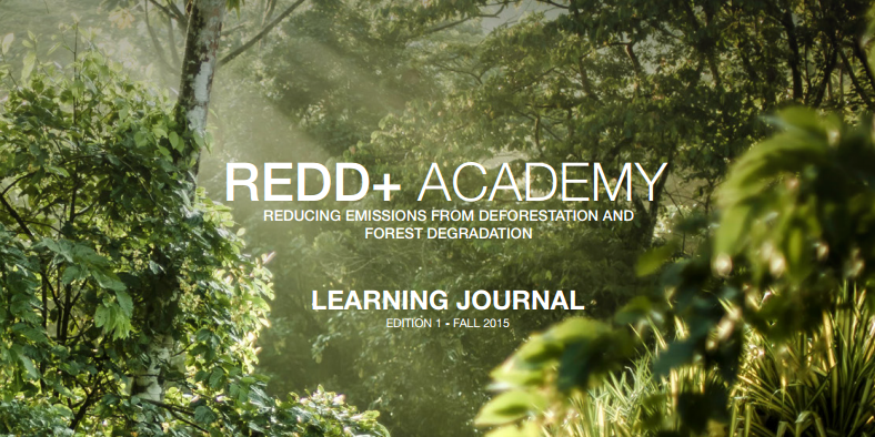 Call for contributions: Revision of REDD+ Academy Learning Journals