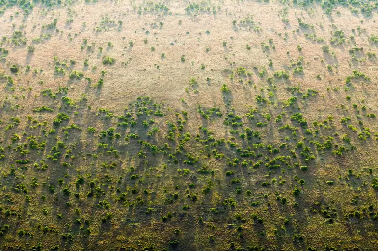 The Great Green Wall Initiative, which was launched by the AU in 2007, is aiming to restore 100 million hectares of degraded land across the Sahel in an 8,000 km-long strip, sequester 250 million tons of carbon, and create 10 million jobs in rural areas by 2030 [greatgreenwall.org] 
