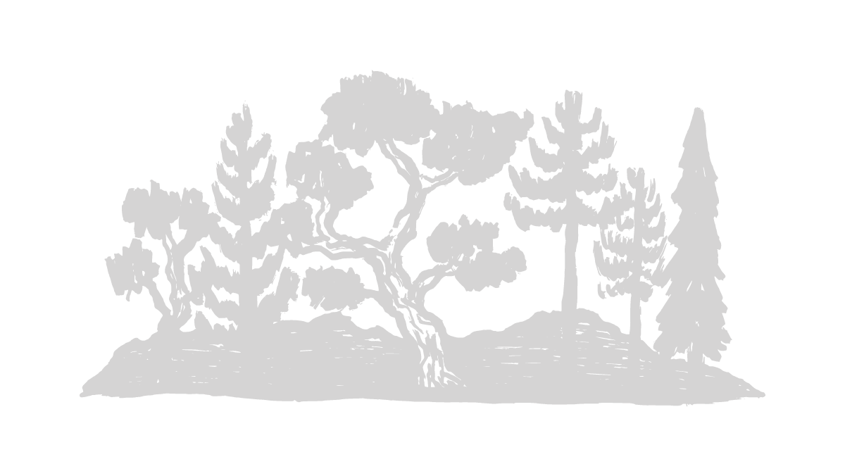 02-Article_A02-Tree Illustration