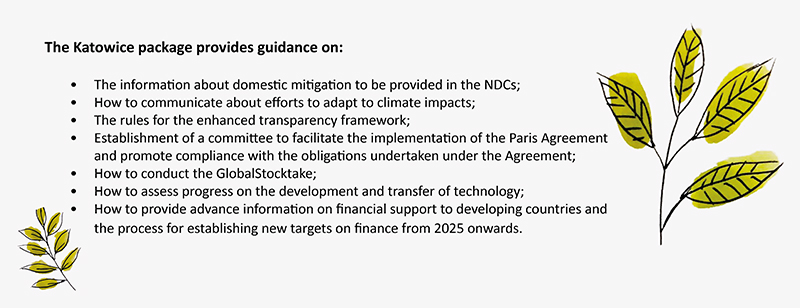 Moving Towards the Transparency Framework under the Paris Agreement
