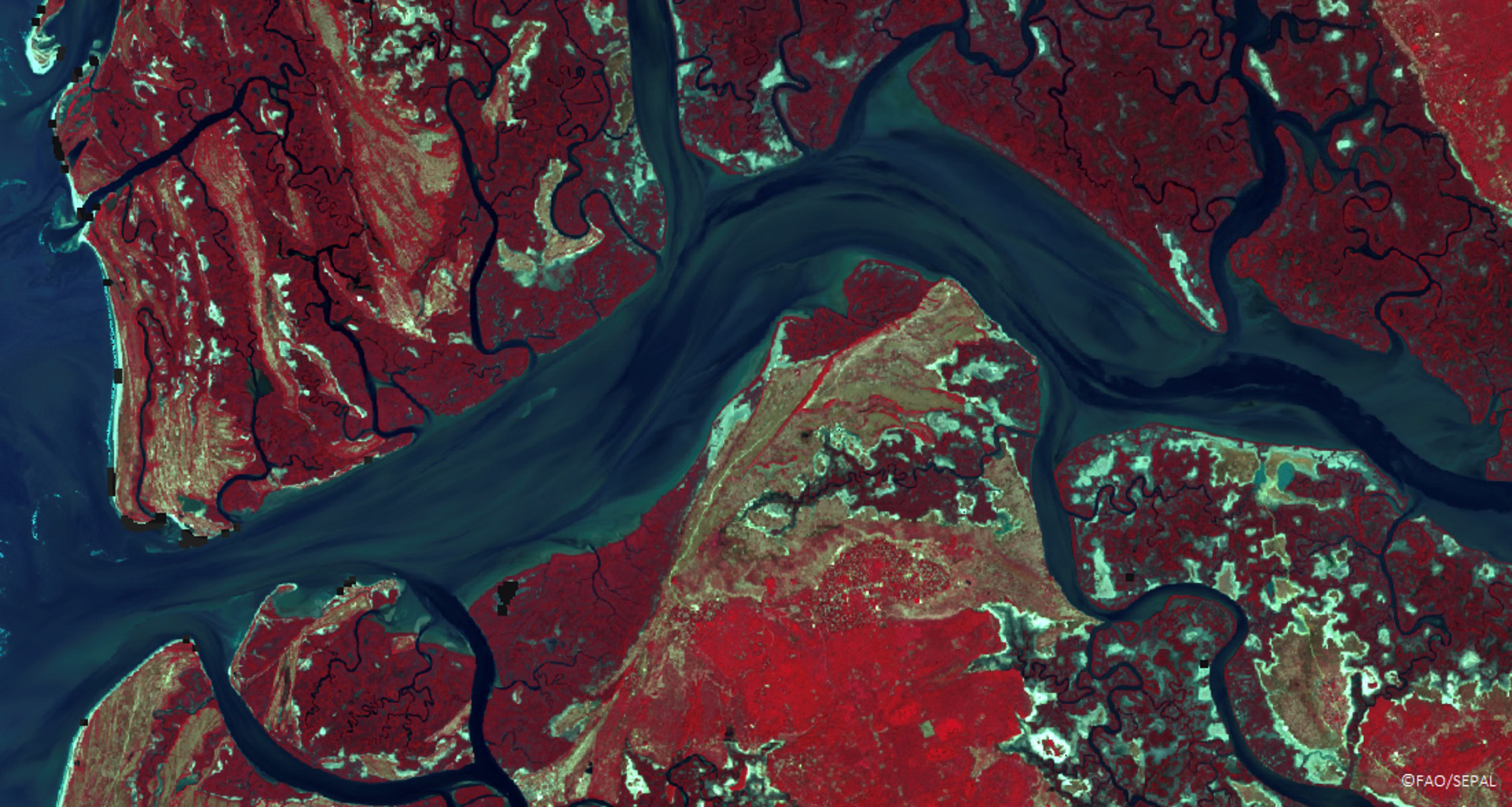 Casamance river in Senegal as seen by Landsat 8 satellite imagery in SEPAL (Â©FAO SEPAL)