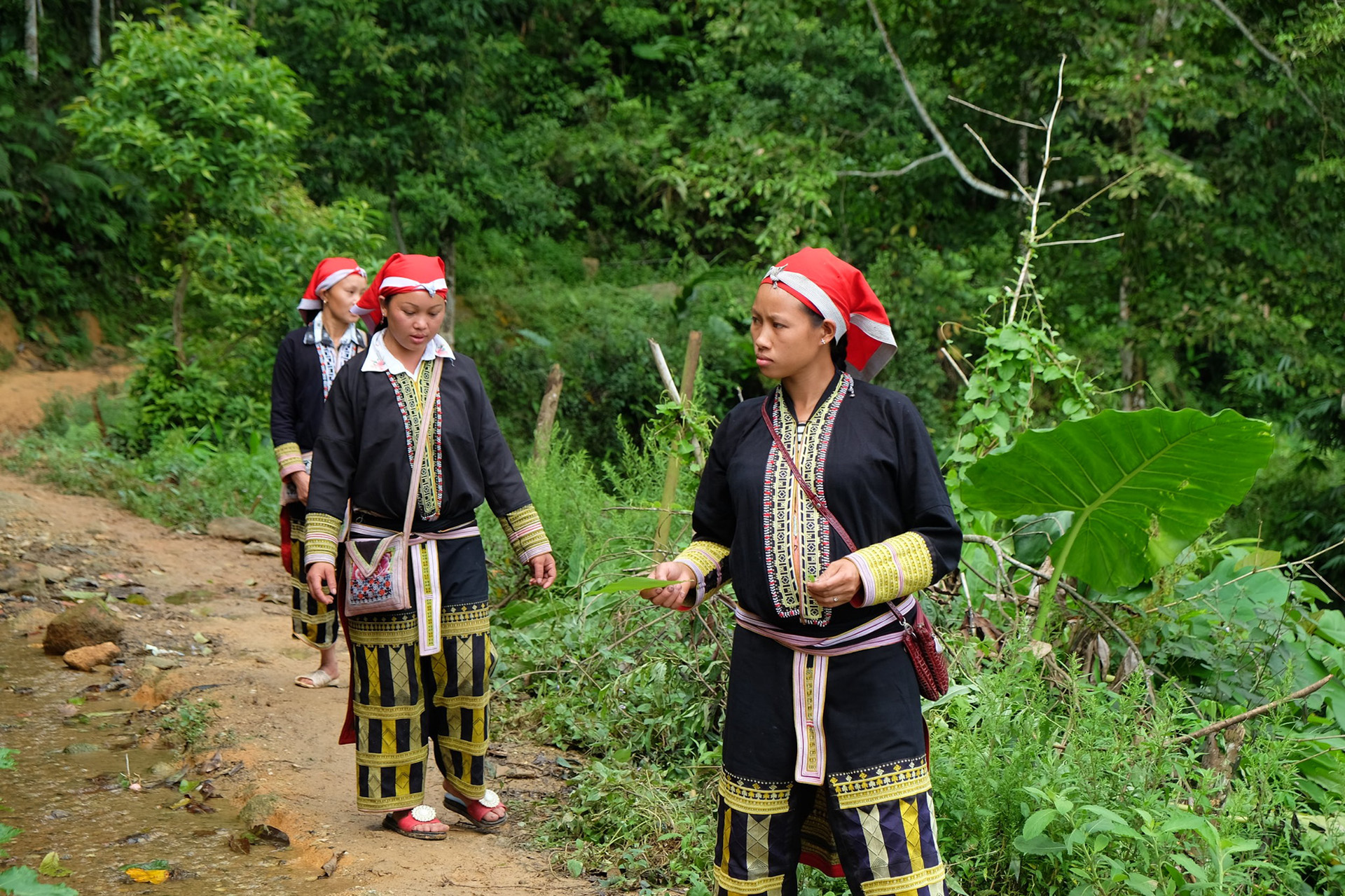 Members of the ethnic Dao minority in Chu Kan Ho village, Tong Sanh Commune, Lao Cai Province going into the forest to pick and gather medicinal herbs and plants. Photo credit: Leona Liu/UN-REDD Programme
