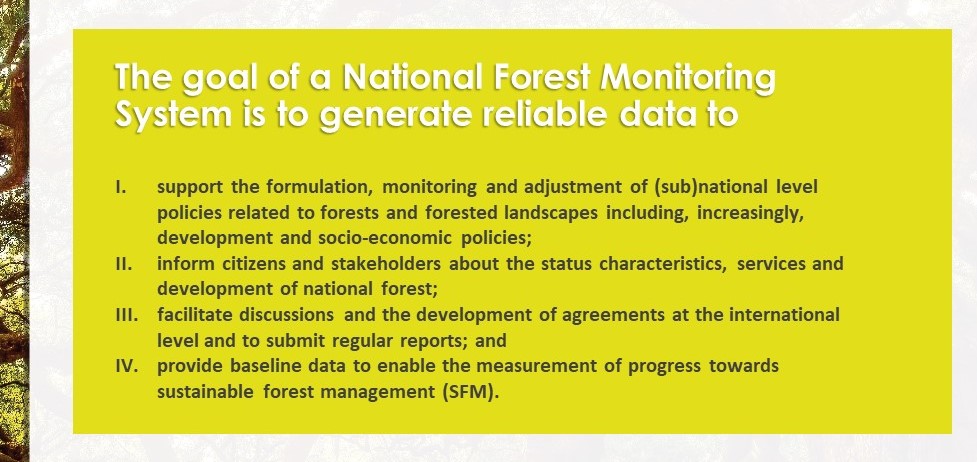 How a Robust National Forest Monitoring System Can Boost Transparency under the Paris Agreement
