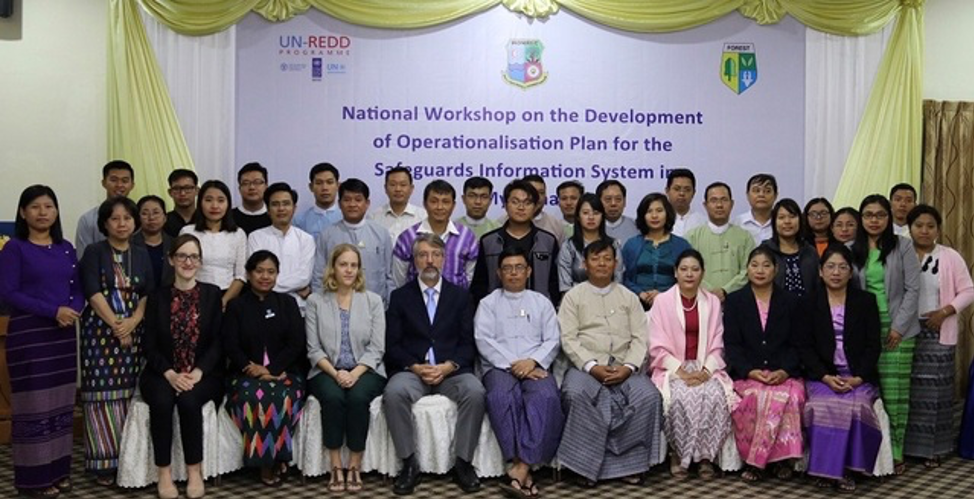  National Workshops on the Development of the Operationalisation Plan for the Safeguards Information System (Credit: FAO)