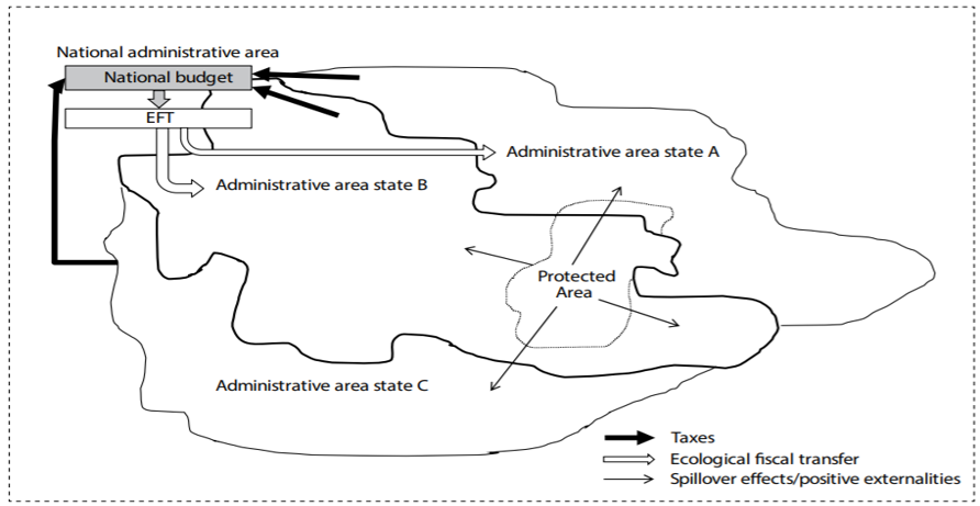 Example flow of EFTs (CIFOR, 2016)